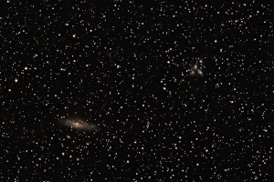 NGC 7331